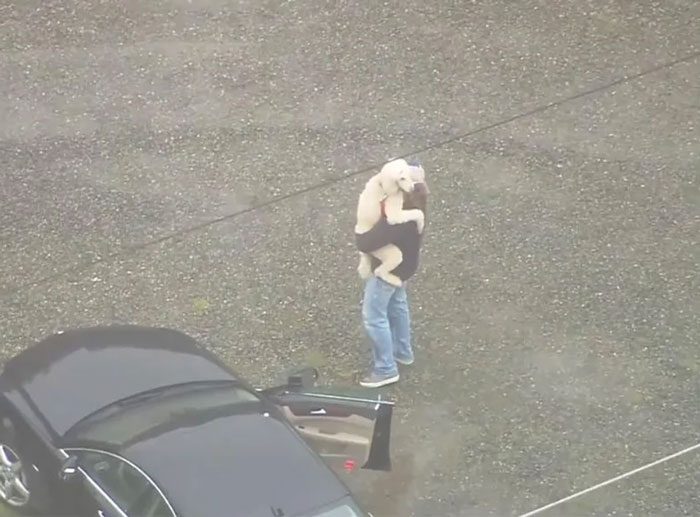 A Family In My Town Had Their Truck Stolen Last Week With Their Dog Inside. Today The Truck Was Recovered And The Dog Got To Reunite With His Family
