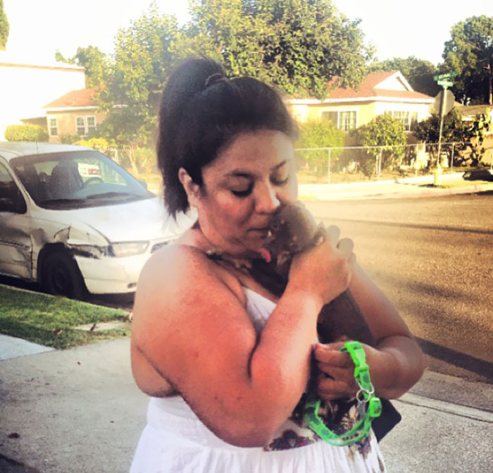 Little Chihuahua "Chiquita" Was Reunited With Owner, Yay
