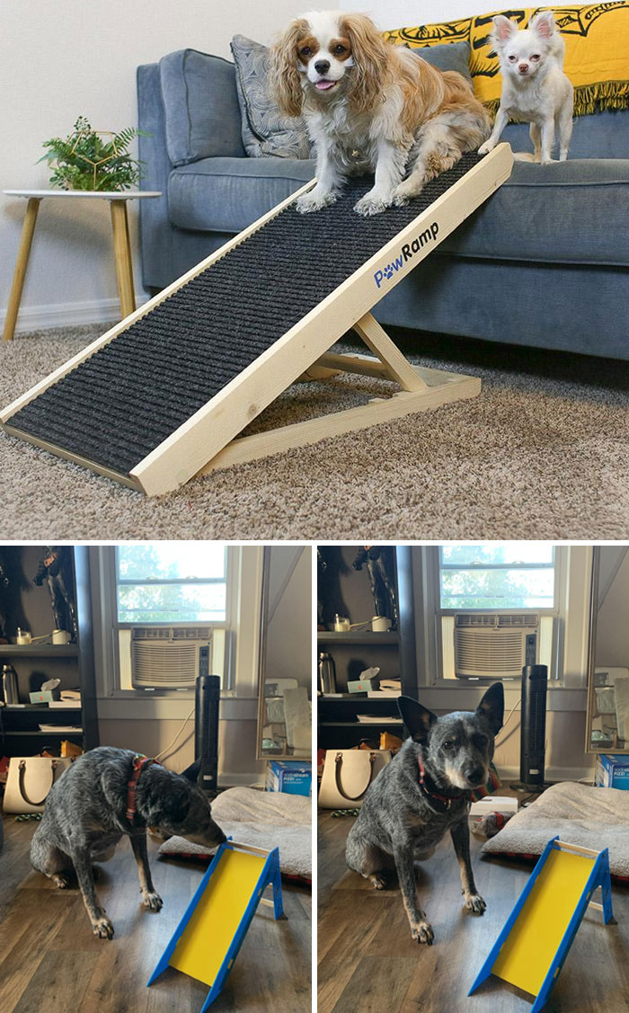 Mom Ordered Steps For The Dog. What She Thought She Ordered vs. What She Got