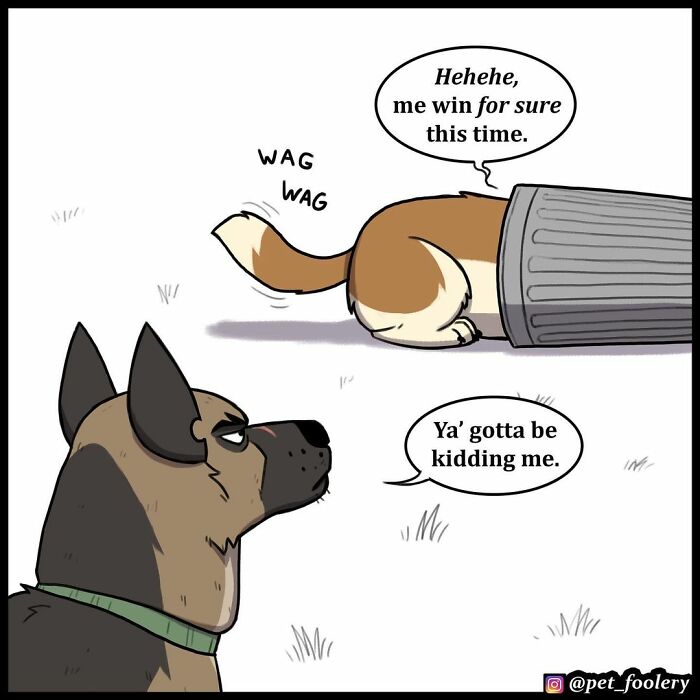 8 New Hilariously Adorable Comics About Pixie And Brutus To Instantly Make Your Day