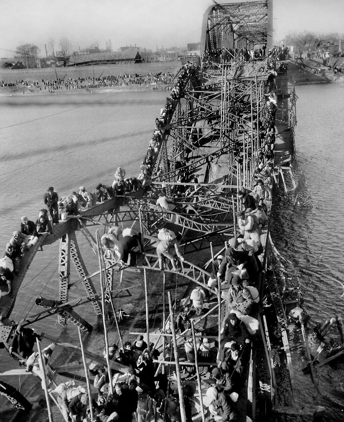 1951 "Flight Of Refugees Across Wrecked Bridge In Korea"