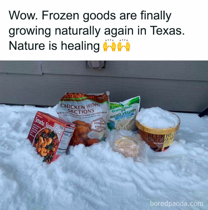 Nature Is Healing