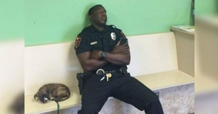 Officer Rescues Puppy After Long Shift And Falls Asleep By Her Side At Clinic