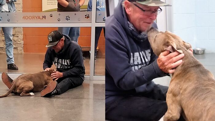 Dog Can't Believe His Dad Finally Found Him After 200 Days Apart