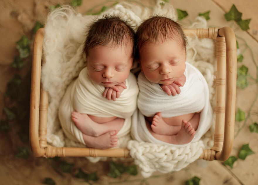 I Photograph Newborn Twins In Chicago