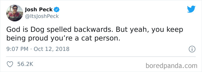 Cat-vs.-Dog-People-Tweets