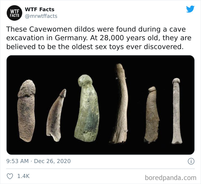 Weird-Interesting-Facts