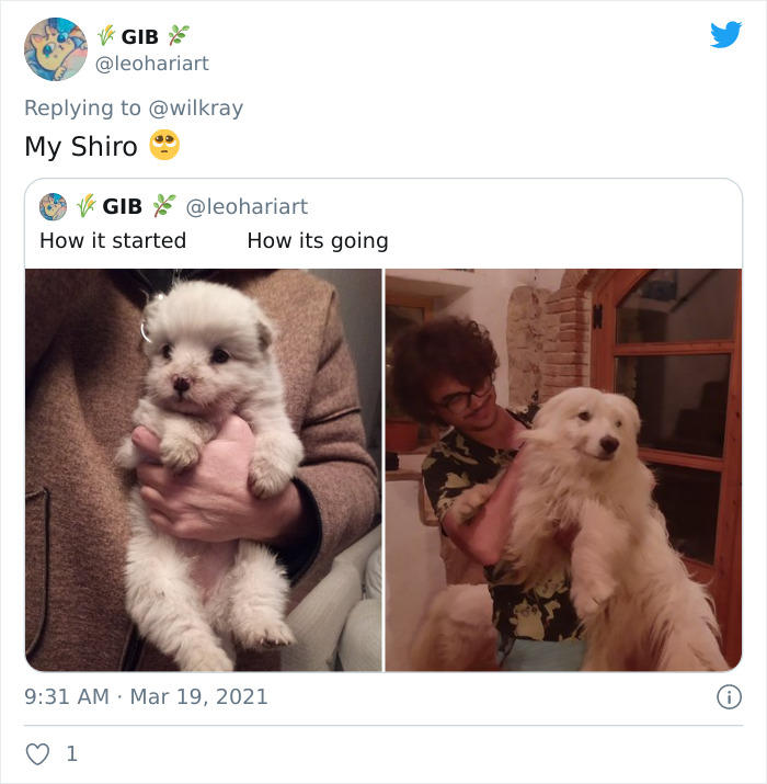 In A New Flash Mob On Twitter, Owners Have Fun With Photos Of Their Dogs As Puppies And How They Are Today
