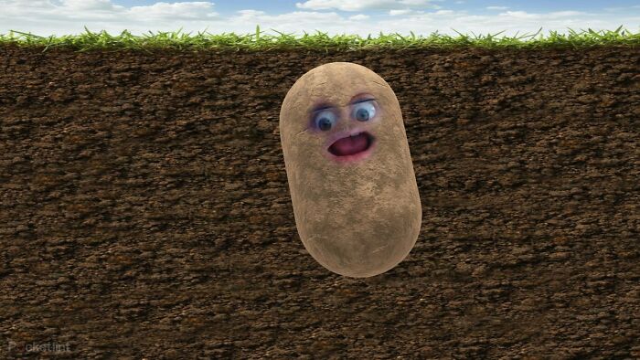 Sind With Me!!! " A Potato Flew Around My Room, Before You Came In-"
