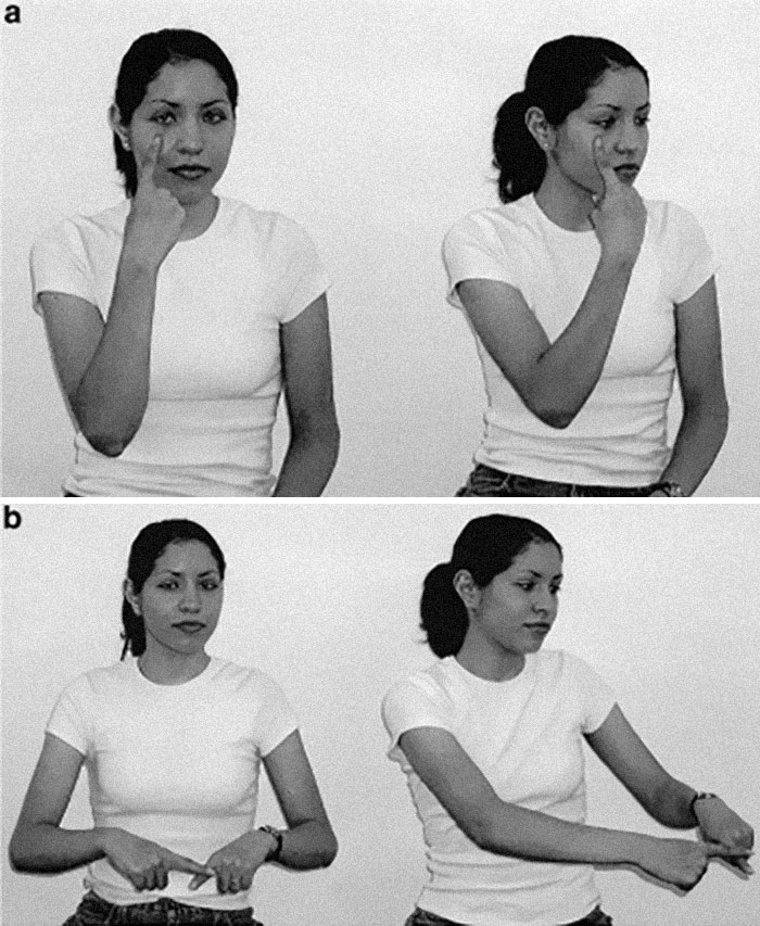 Til Nicaraguan Sign Language Is A Sign Language That Spontaneously Developed Among Deaf Children In Nicaragua In The 1980s. It Is Of Particular Interest To Linguists Because It Is Believed To Be To Be An Example Of The Birth Of A New Language, Unrelated To Any Other.