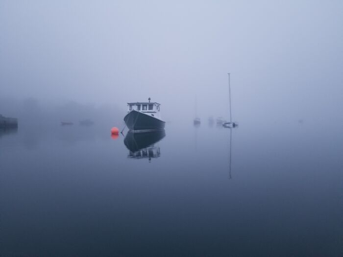 Nova Scotia In Fog