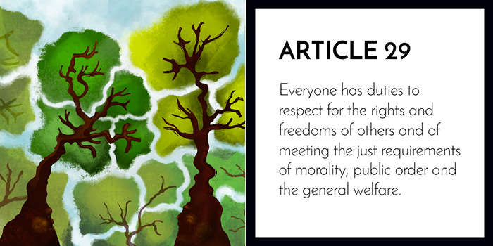 Article 29: Everyone Has The Duty To Respect For The Rights Of Others