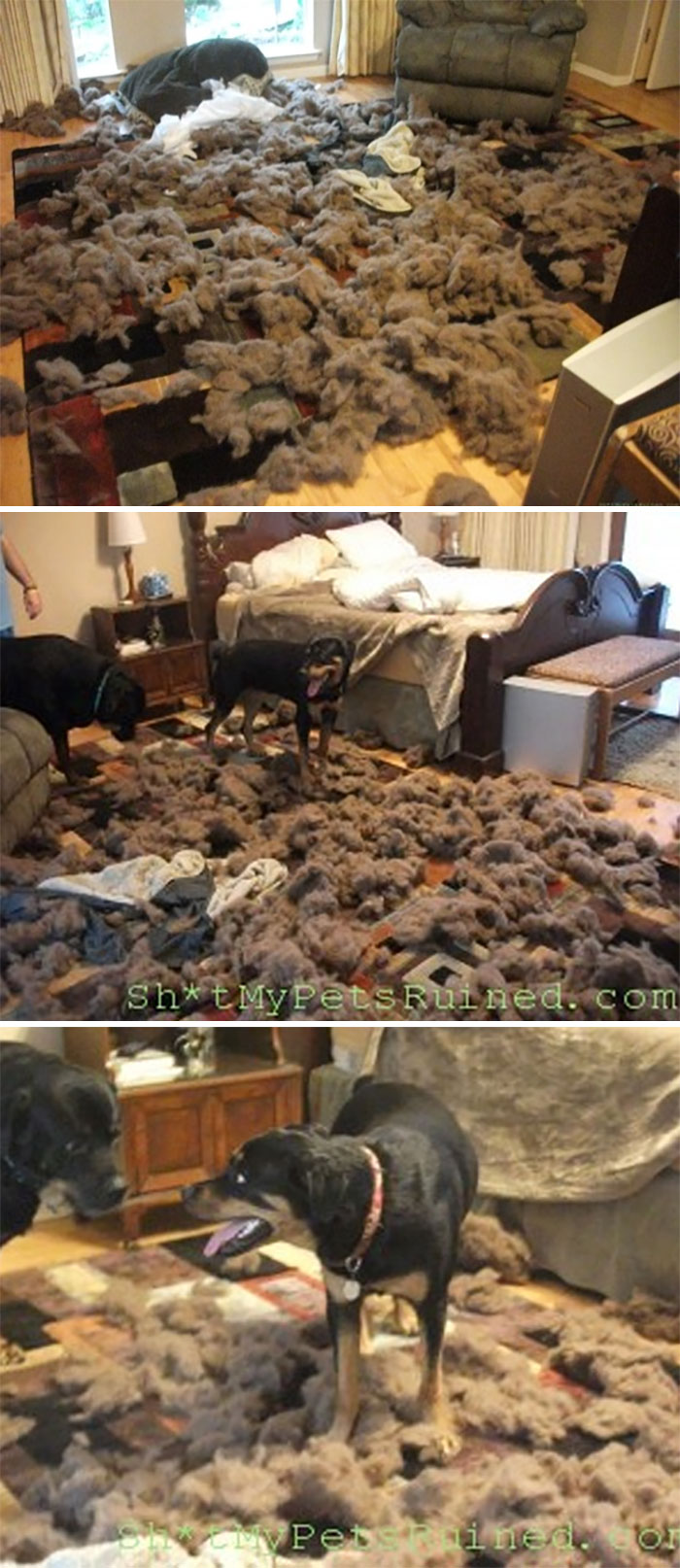 She Murdered Her Bed