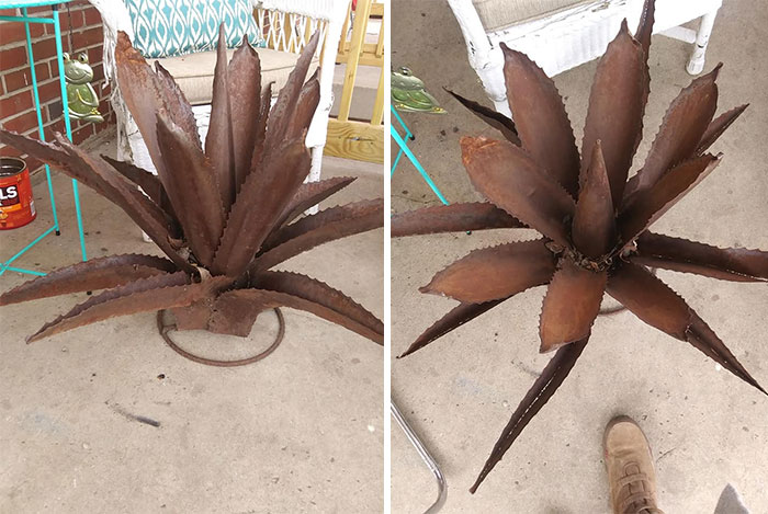 Found This Curbside! It Is A Metal Sculpture Of Aloe Vera Or Another Random Magical Succulent That Is Rusted But My Newest And Favorite Project For This Spring Now. Ugh So Excited. I Have A Large Metal Cactus Too Like This. I Couldn't Believe My Eyes When My Fiance And I Passed By This Beaut