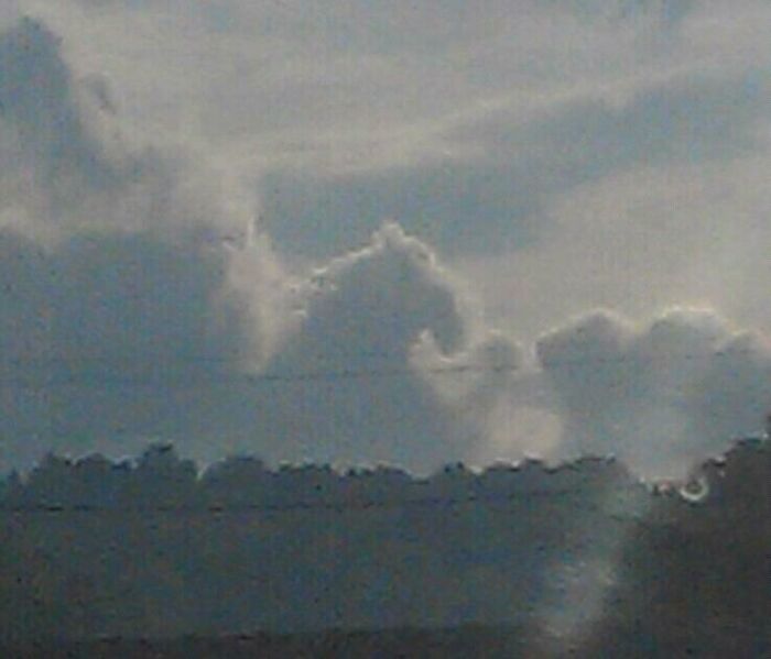 This Picture Of A Cloud I Took In 2011 That Looks Like A Horse Arm Wrestling A Beaver