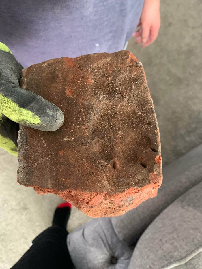 A 300-Year-Old Brick With A Paw Print In It