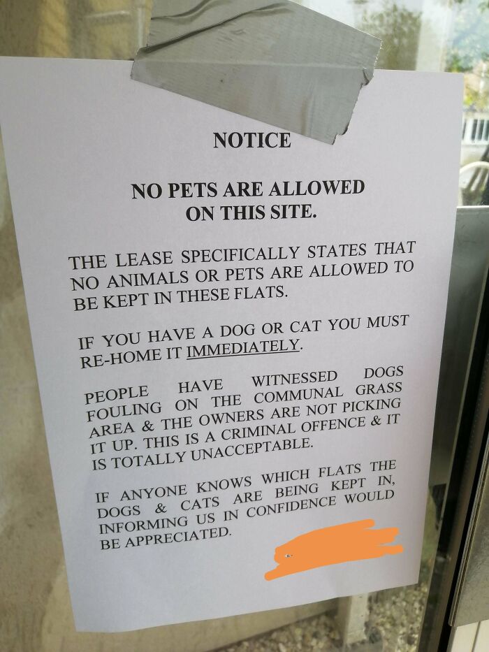 Found On The Door To My Block Of Flats Today. No Mention Of Pandemic At All. So Easy To Get Rid Of Your Pets Immediately In The Current Crisis - Oh, And Please Snitch On Any And All Neighbours
