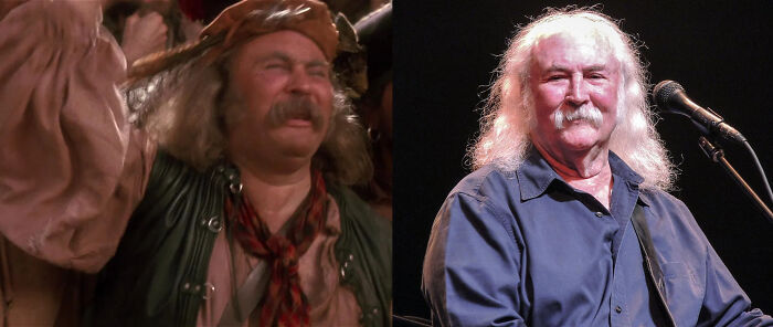 In Hook (1991), One Of The Pirates Is Played By Musician David Crosby