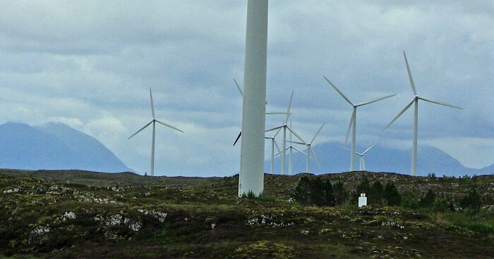 Til White-Tailed Eagles Kept Flying Into Moving Turbine Blades At The Smøla Wind Farm In Norway. An Experiment Of Painting A Single Blade Black On Each Of Two Turbines Compared To Two Unpainted Turbines Found That The Bird Deaths Declined By 70%.