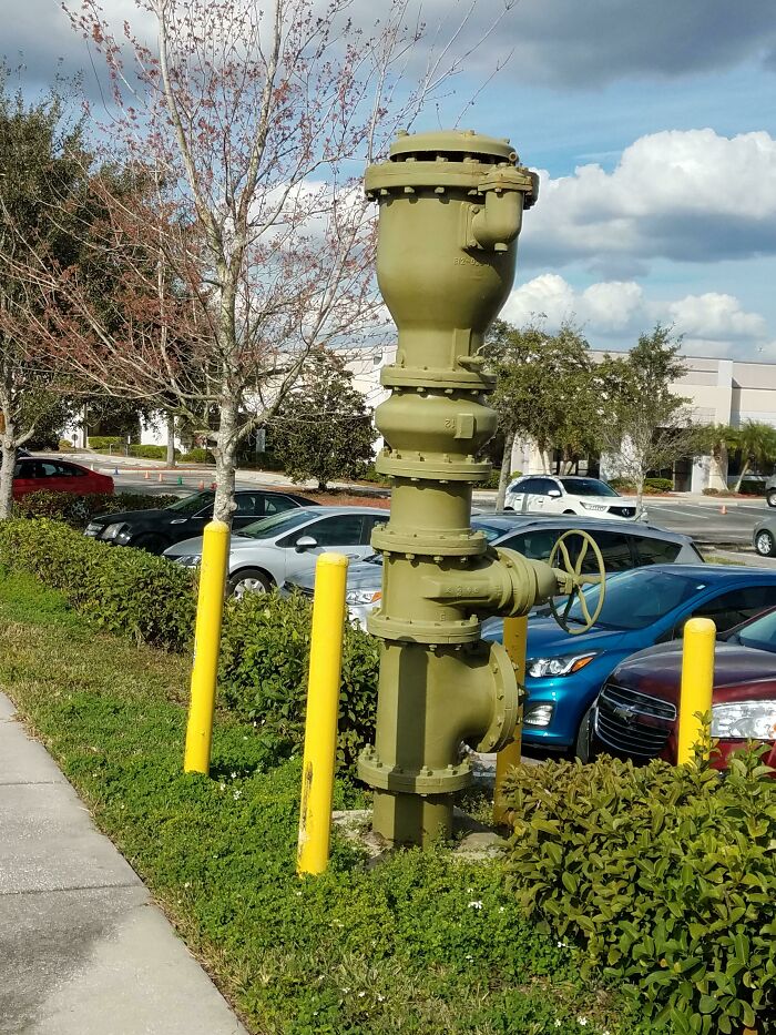 Found Outside A Medical Arts Office Building In Florida. I Have Seen Pipes Like This Outside Of Buildings Before But None This Big