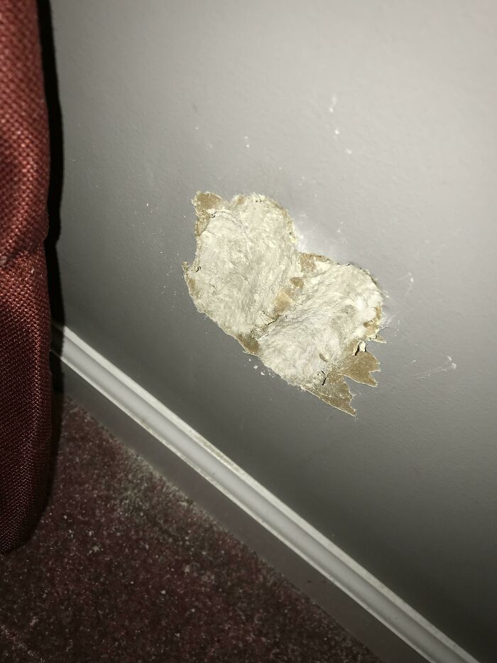 My Dog Ate The Wall
