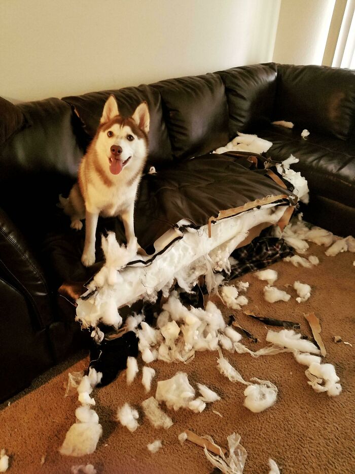 "Look What I Did Today!"