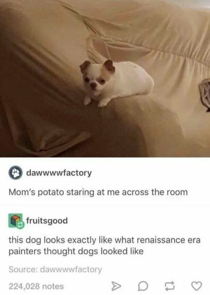 Does Insulting A Dog Still Count?