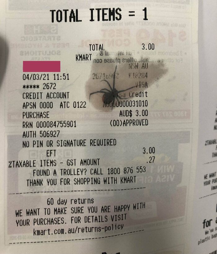 I Unintentionally Smudged KFC Grease On A Reciept, Revealing A Redback Spider From An Ad On The Other Side. Heart Missed A Beat When I Took It From My Wallet