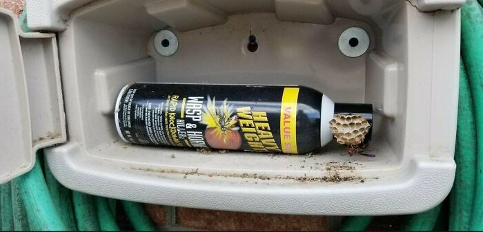 Las avispas hicieron un nido en mi bote de spray anti avispas