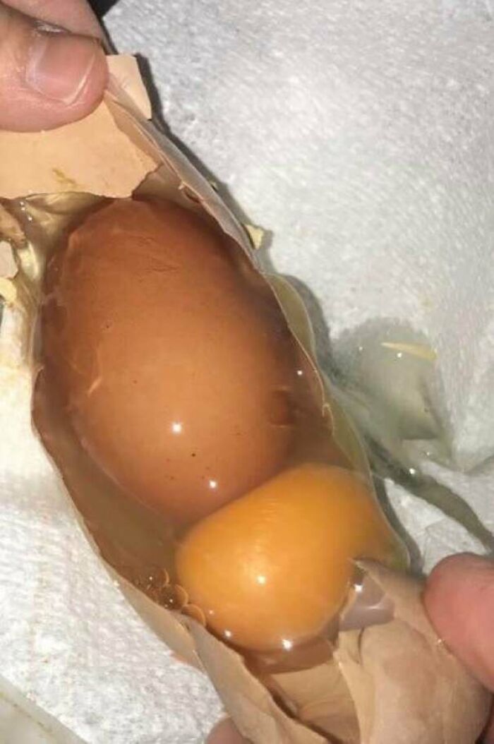 Una de nuestras gallinas acaba de poner un huevo gigante con otro huevo dentro