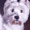 freckledcheetah avatar
