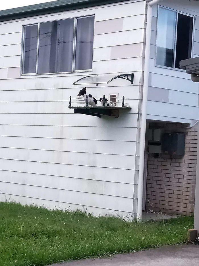 Este balcón