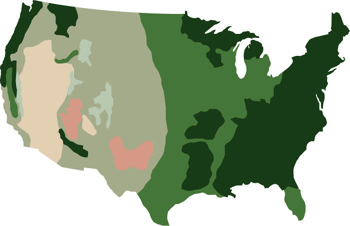 I Made A Minimalist Map Of USA Based On The Colors Of Google Satellite Images