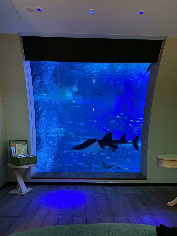 Nuestra habitación de hotel está dentro de un acuario gigante con tiburones, mantas y rayas nadando