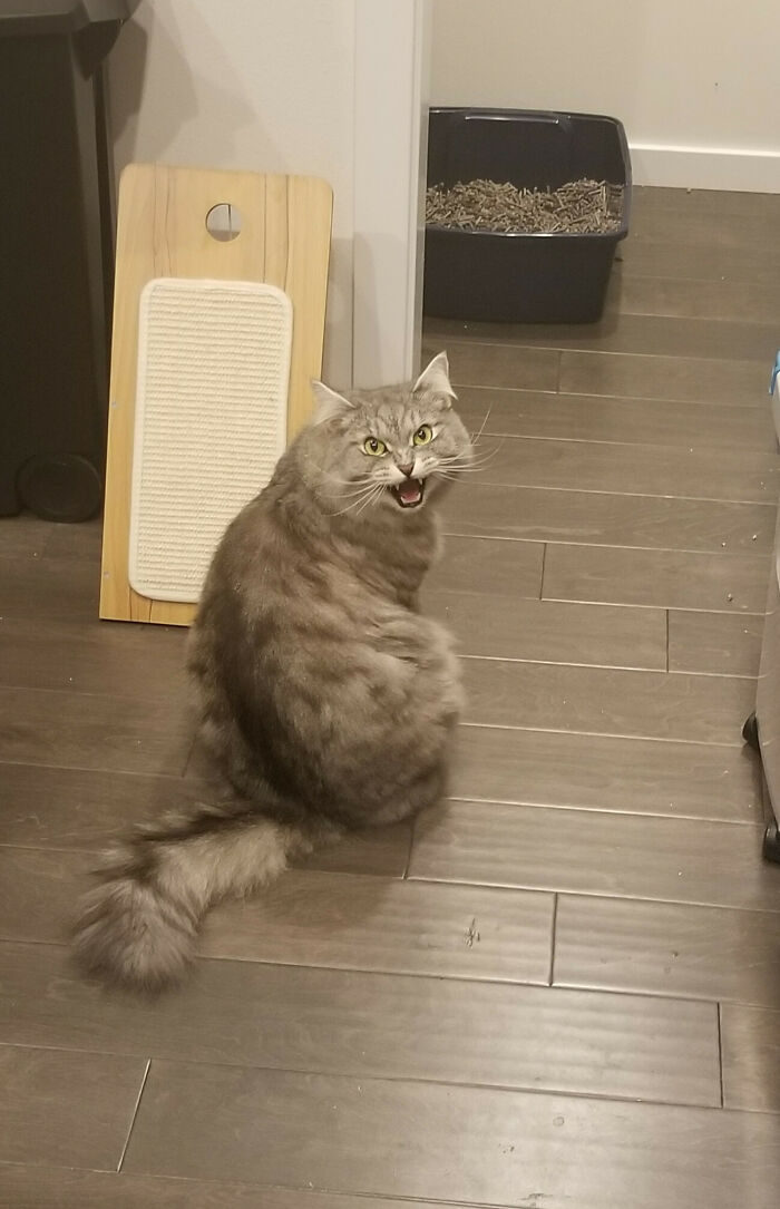 Oh Lawd He Hungry (A Picture You Can Hear)
