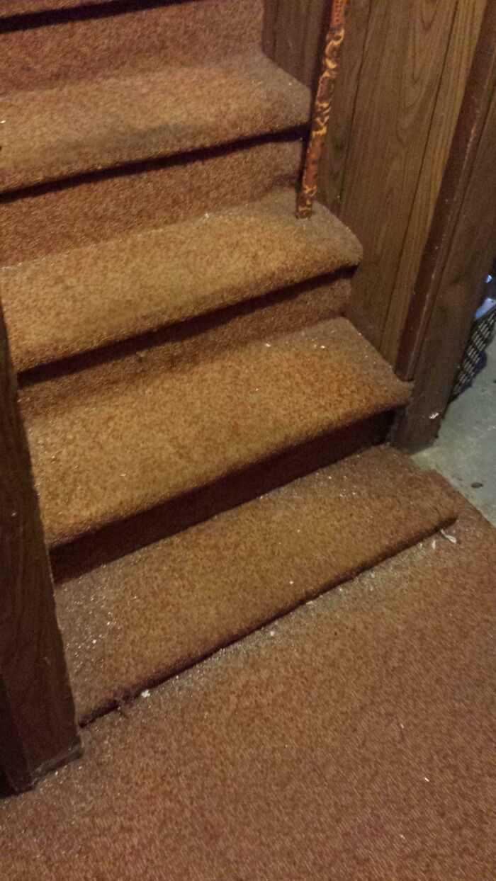 These Stairs Have An Extra Step That's Only An Inch