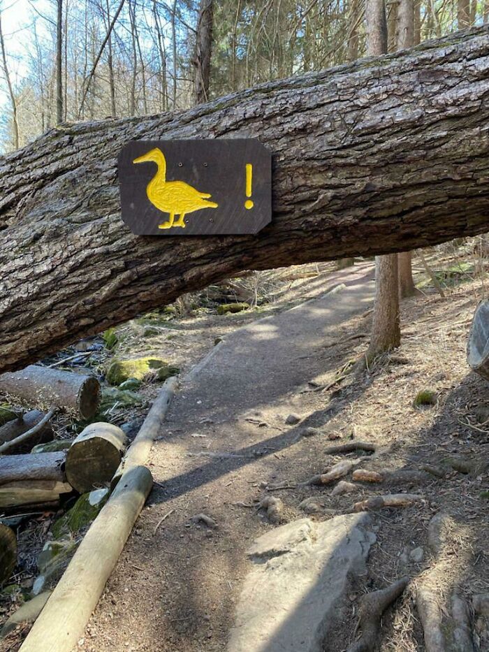 This Sign Telling Me To "Duck"