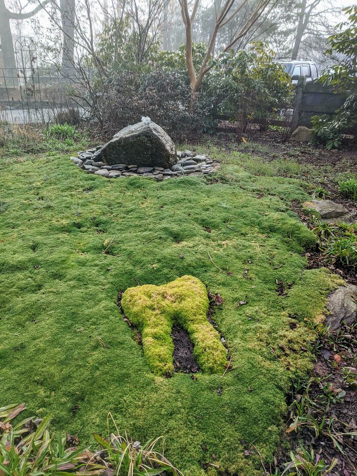 Molar In Moss Outside My Dentists' Office