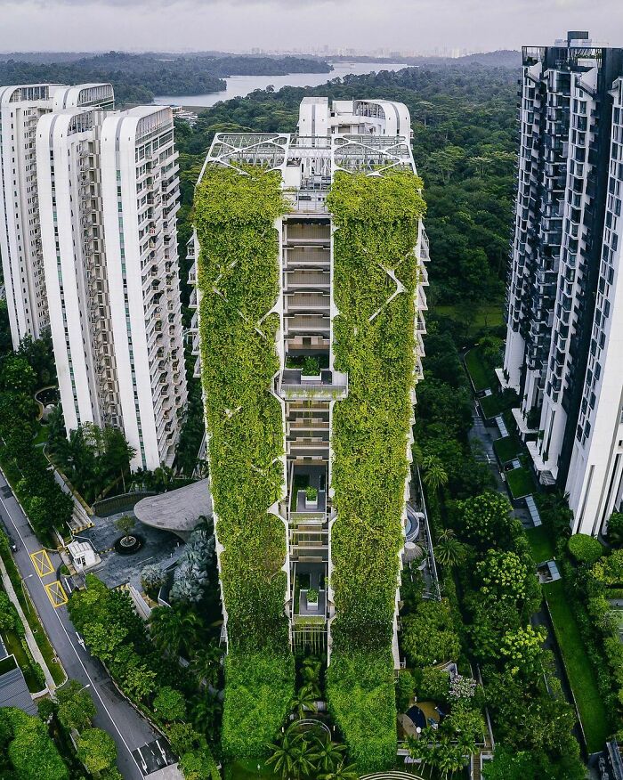 This Apartment Building In Singapore