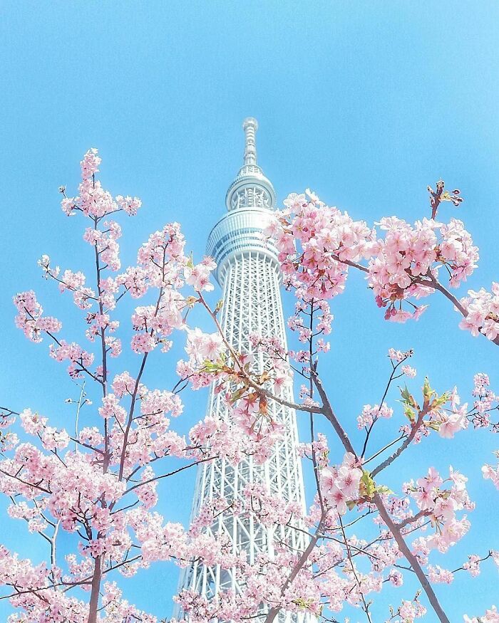 Tokyo Skytree In Tokyo, Japan