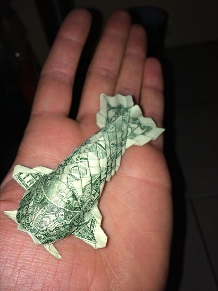 An Origami Koi Fish That I Made With A US $1 Bill For My Tip Jar At Work