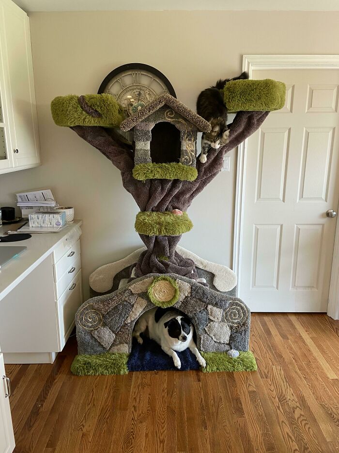 The Bridge, Another Cat Tree I Just Finished