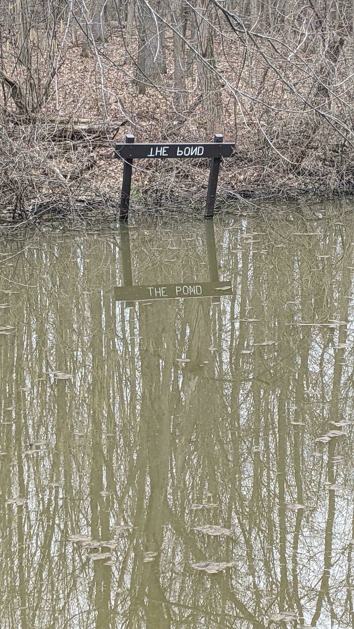Esta señal en una reserva natural local tiene las palabras invertidas para que se pueda leer en el agua