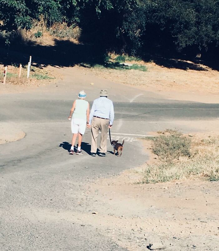 This Sweet Old Couple Goes On Walks, Holding Hands, Every Morning With Their Little Dog. Warms The Heart