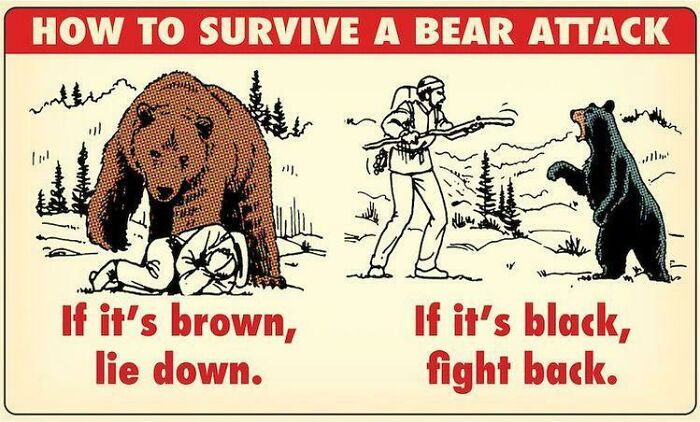 When Coming In Contact With A Bear