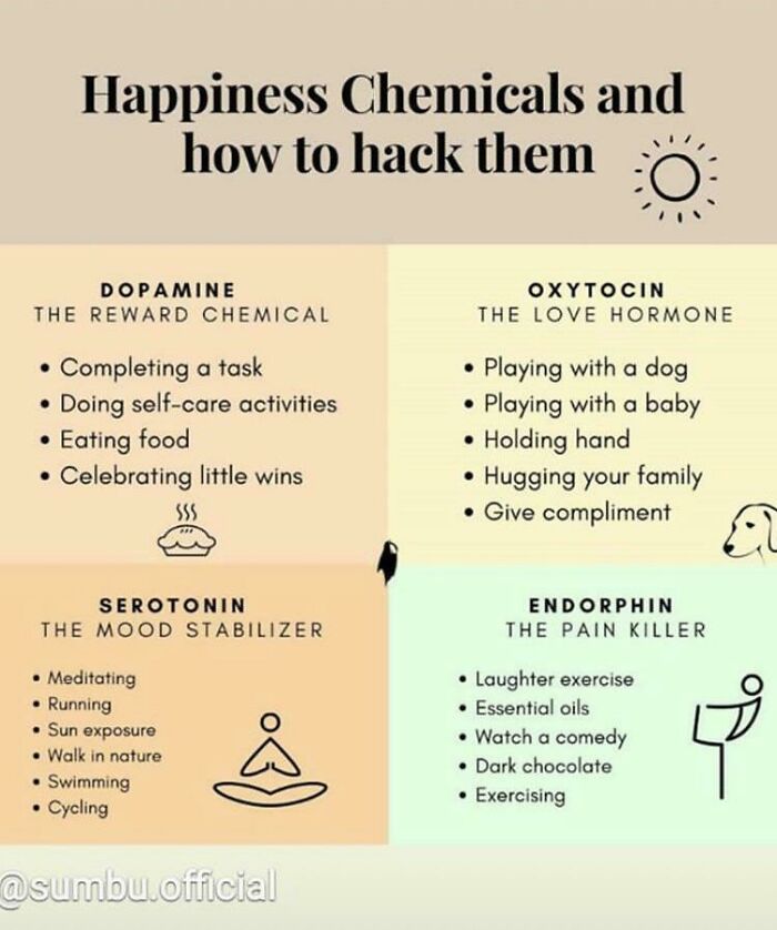 Activities That Make Your Brain Release Happy Chemicals