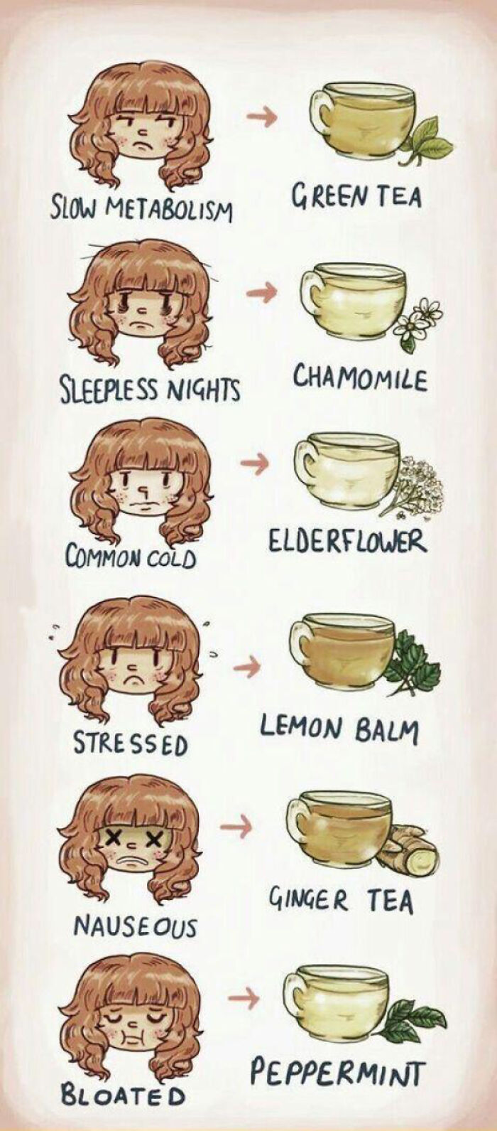 A Quick Guide To Tea!