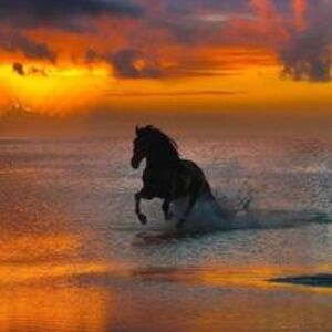 sugarsdebbie0 avatar