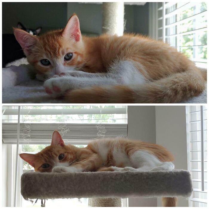 My Little Sunshine Boi From 4 Months To 16 Months