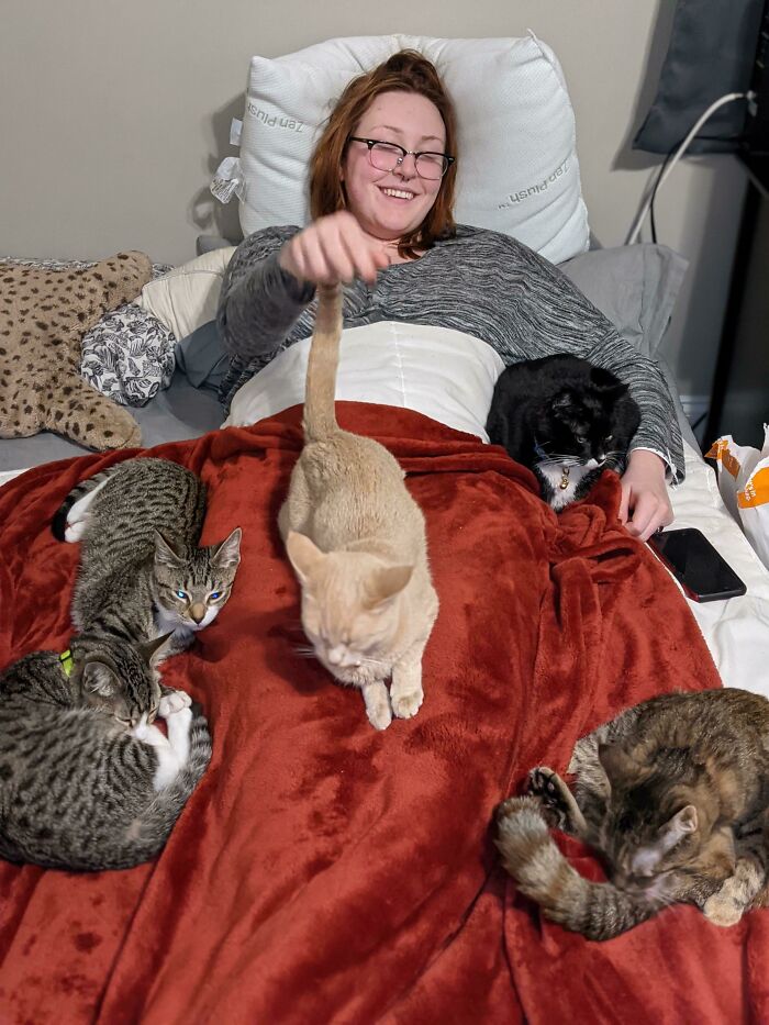 Our Cats Came To Comfort My Girlfriend After Her Surgery